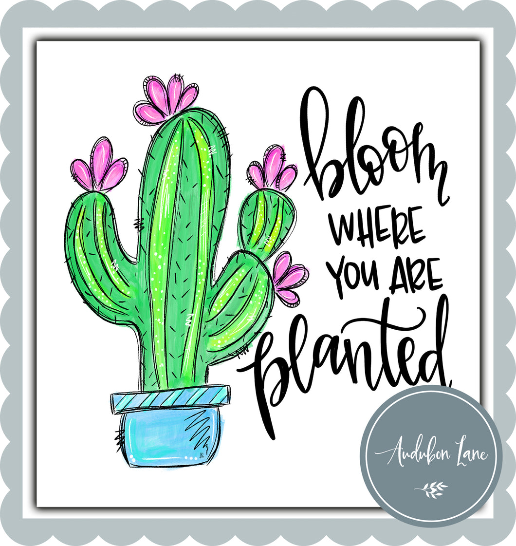 Bloom Where You Are Planted Cactus