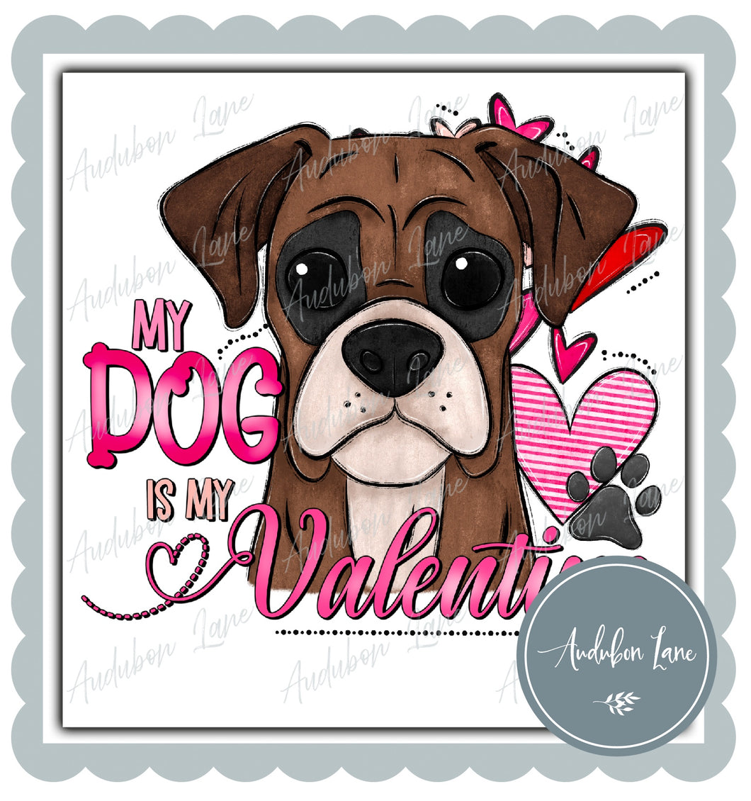 Valentine Boxer Dog